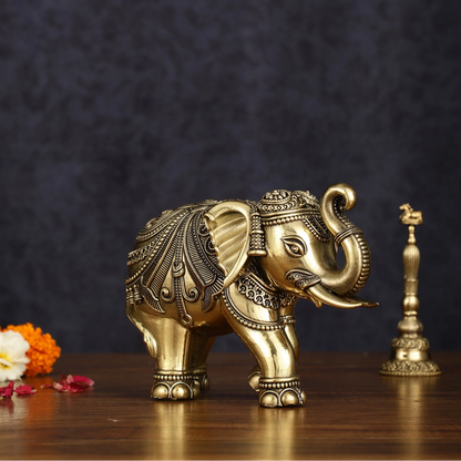 Premium Elephants